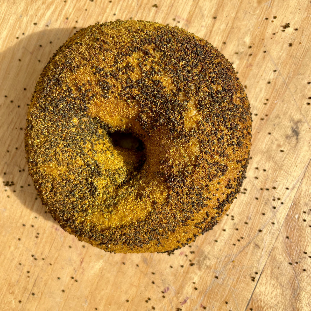 Curry Poppy Bagel (Rotating Flavor) - Zylberschtein's Bakery