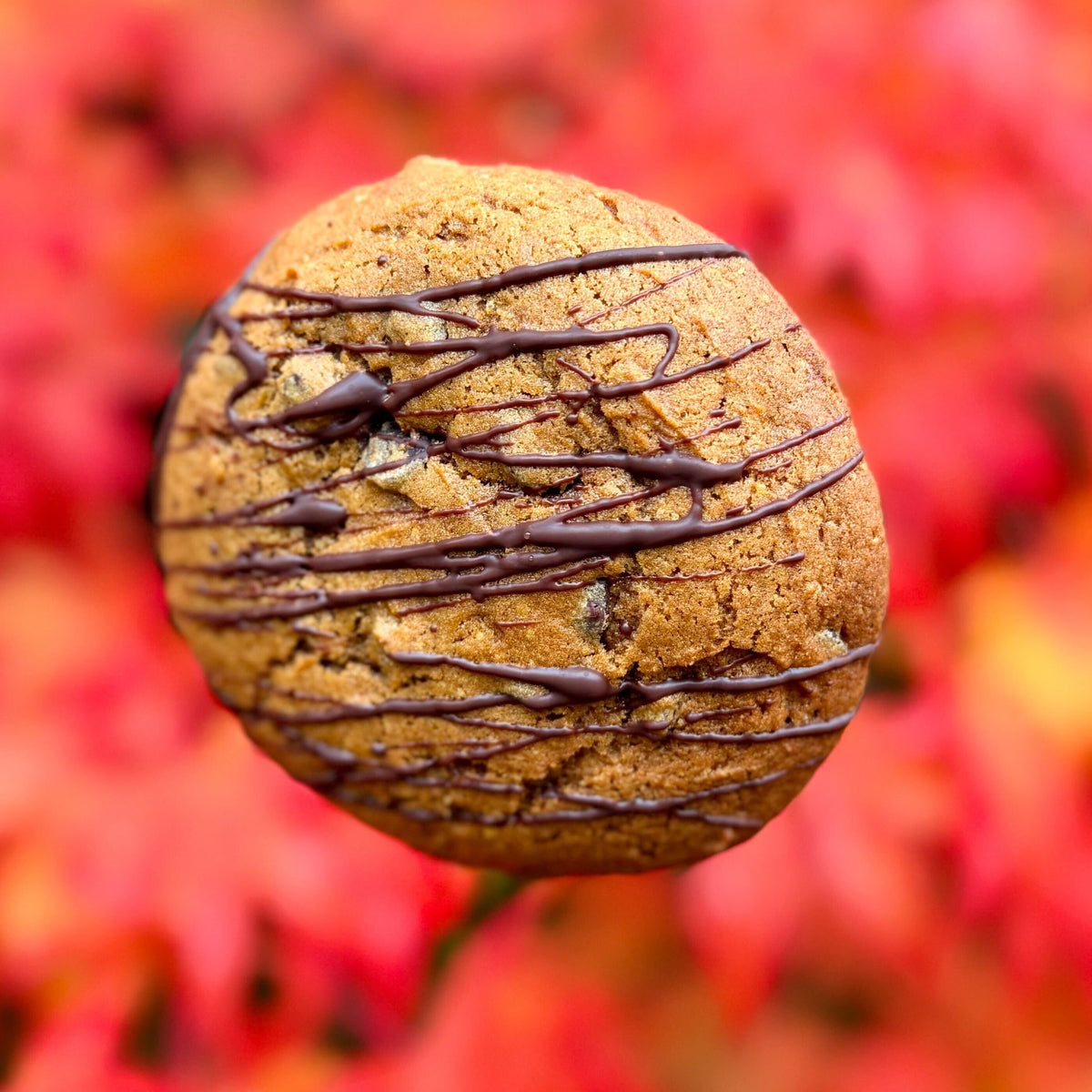 Cookies for a Cause - Pumpkin Mocha Cookies