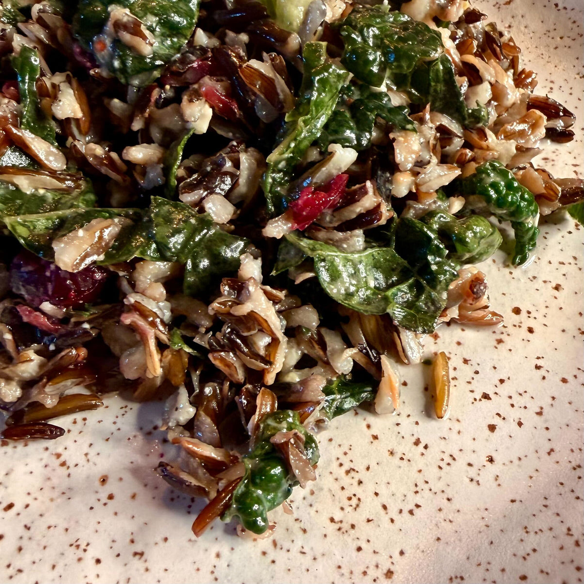 Wild Rice and Dried Cranberry Salad with Kale