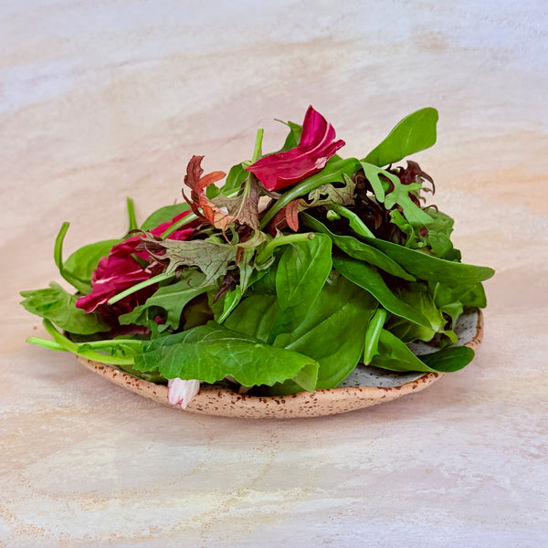 Maven Signature Salad Blend