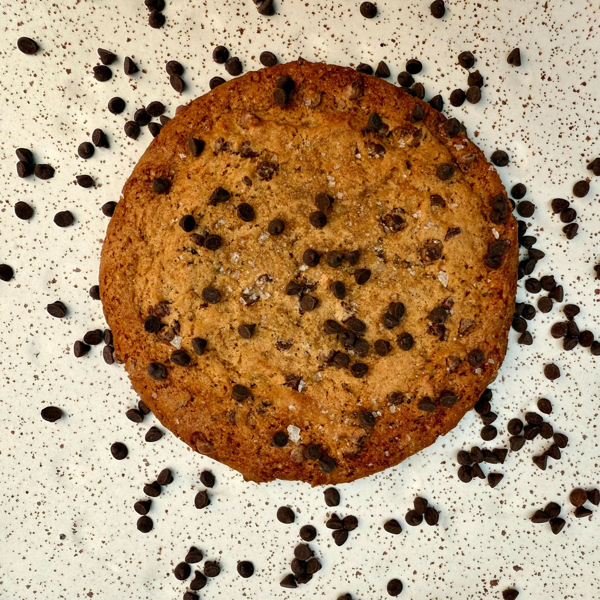 Vegan Salted Dark Chocolate Cookies