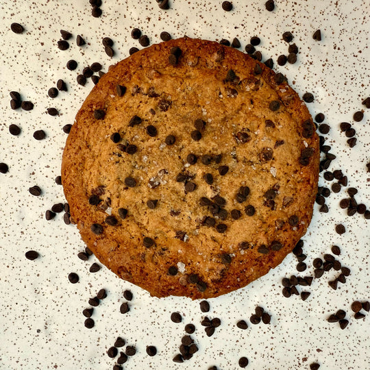 Vegan Salted Dark Chocolate Cookies