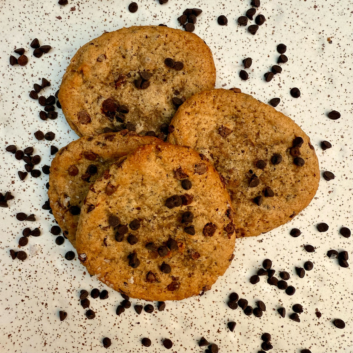 Lunchbox Cookies - Vegan Salted Dark Chocolate