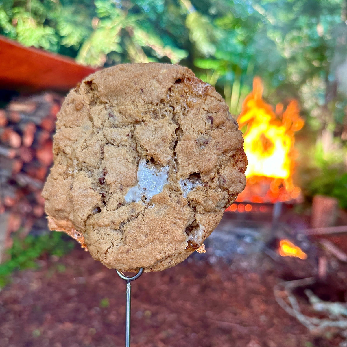 Campfire S'mores Cookie
