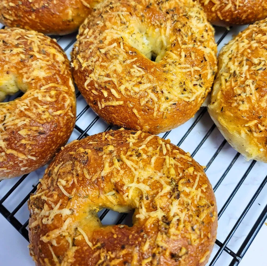 Asiago and Pepper Bagel (Rotating Flavor) - Zylberschtein's Bakery