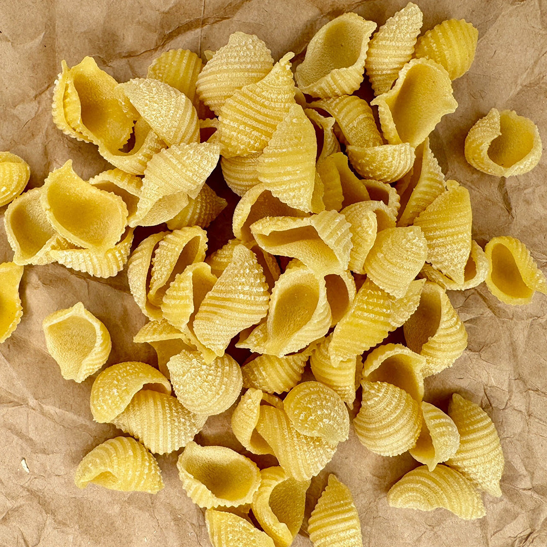 Bellingham Pasta Co. - Pasta Shells