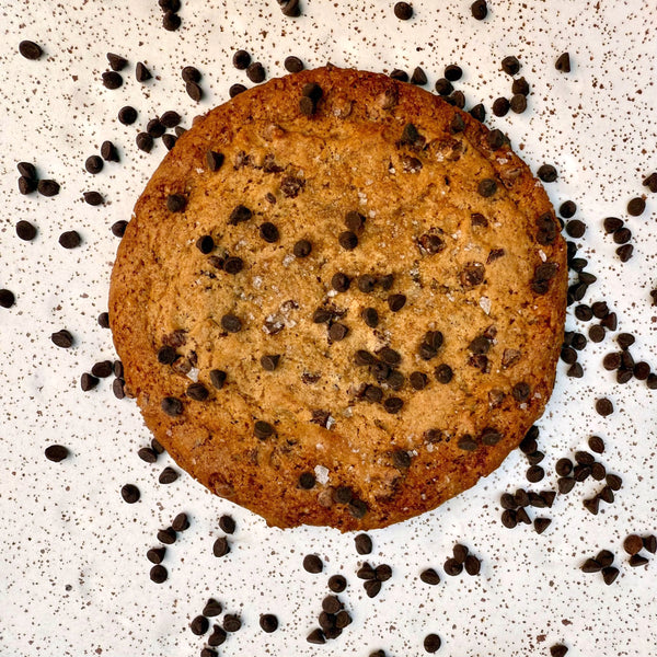 Vegan Salted Dark Chocolate Cookies