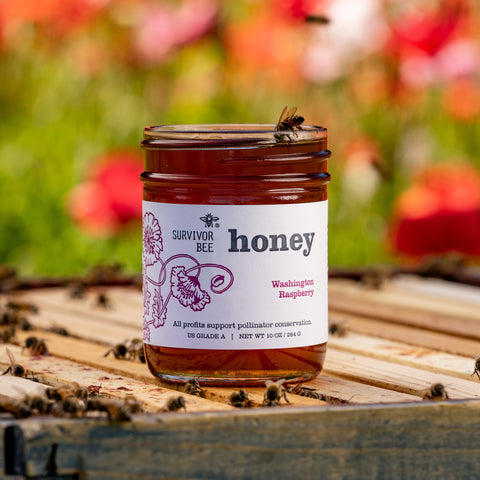Survivor Bee - Raspberry Honey
